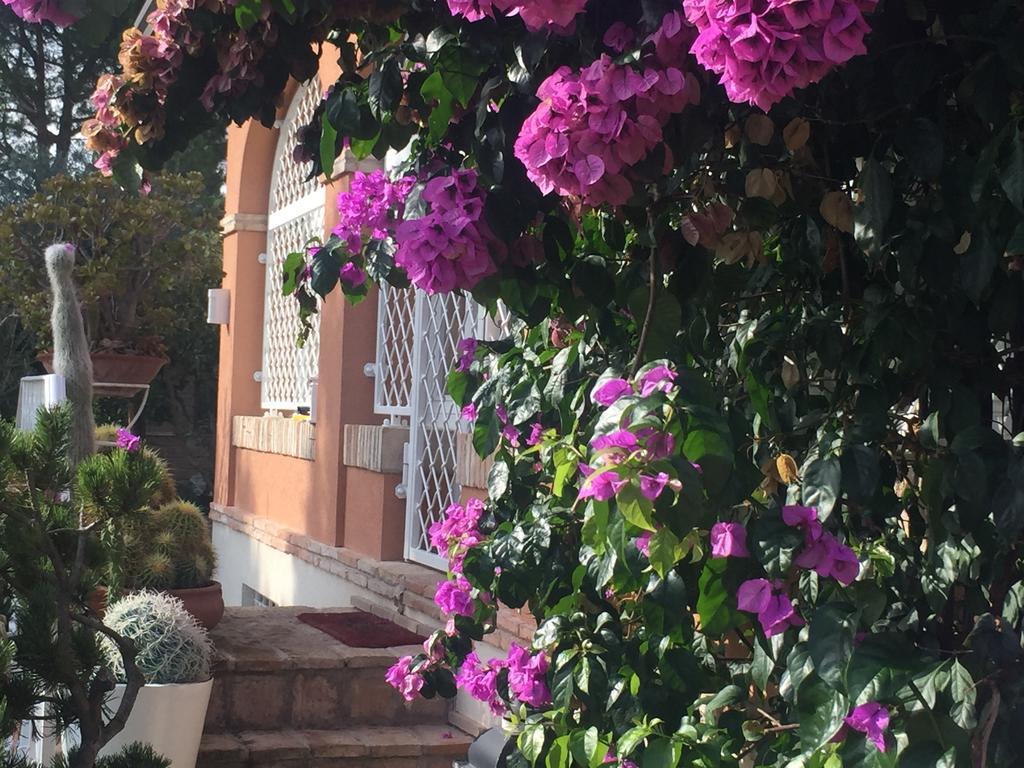 Villa Silvio Civitanova Alta Oda fotoğraf